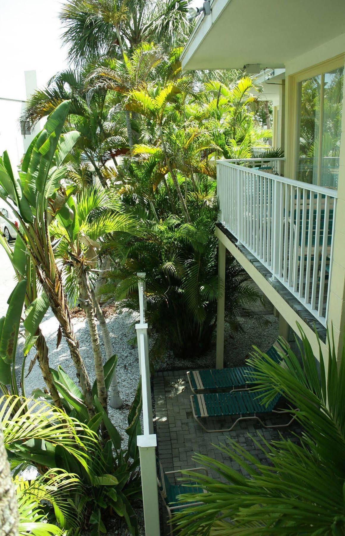 Coquina On The Apartment