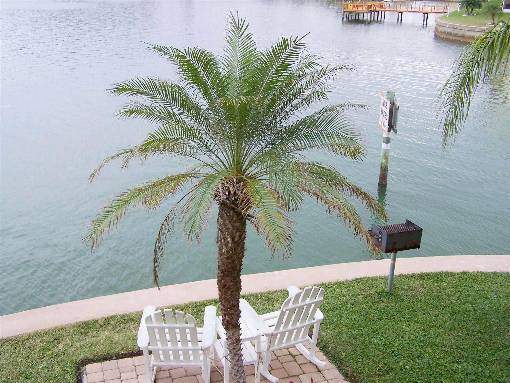 Aparthotel Coconut Villas