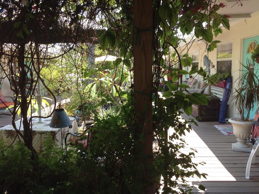 Mango Street 3*