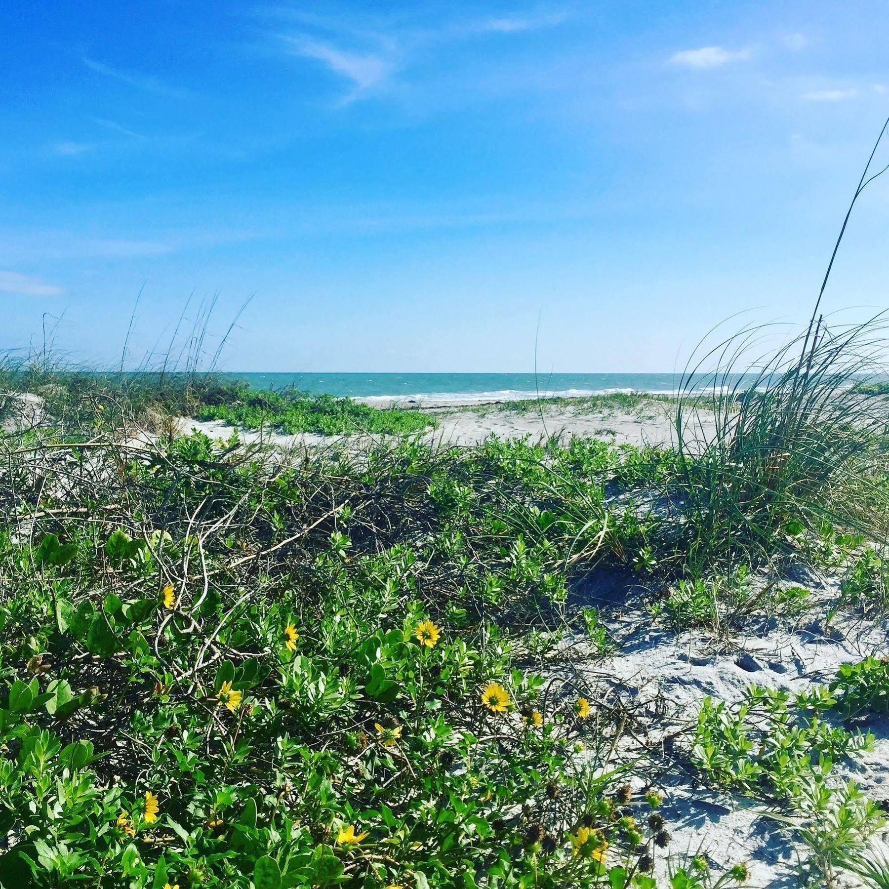 Surf Cocoa Beach