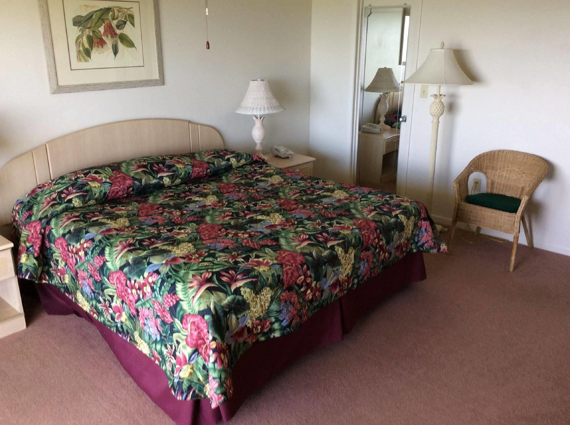 Apartment Olas Club