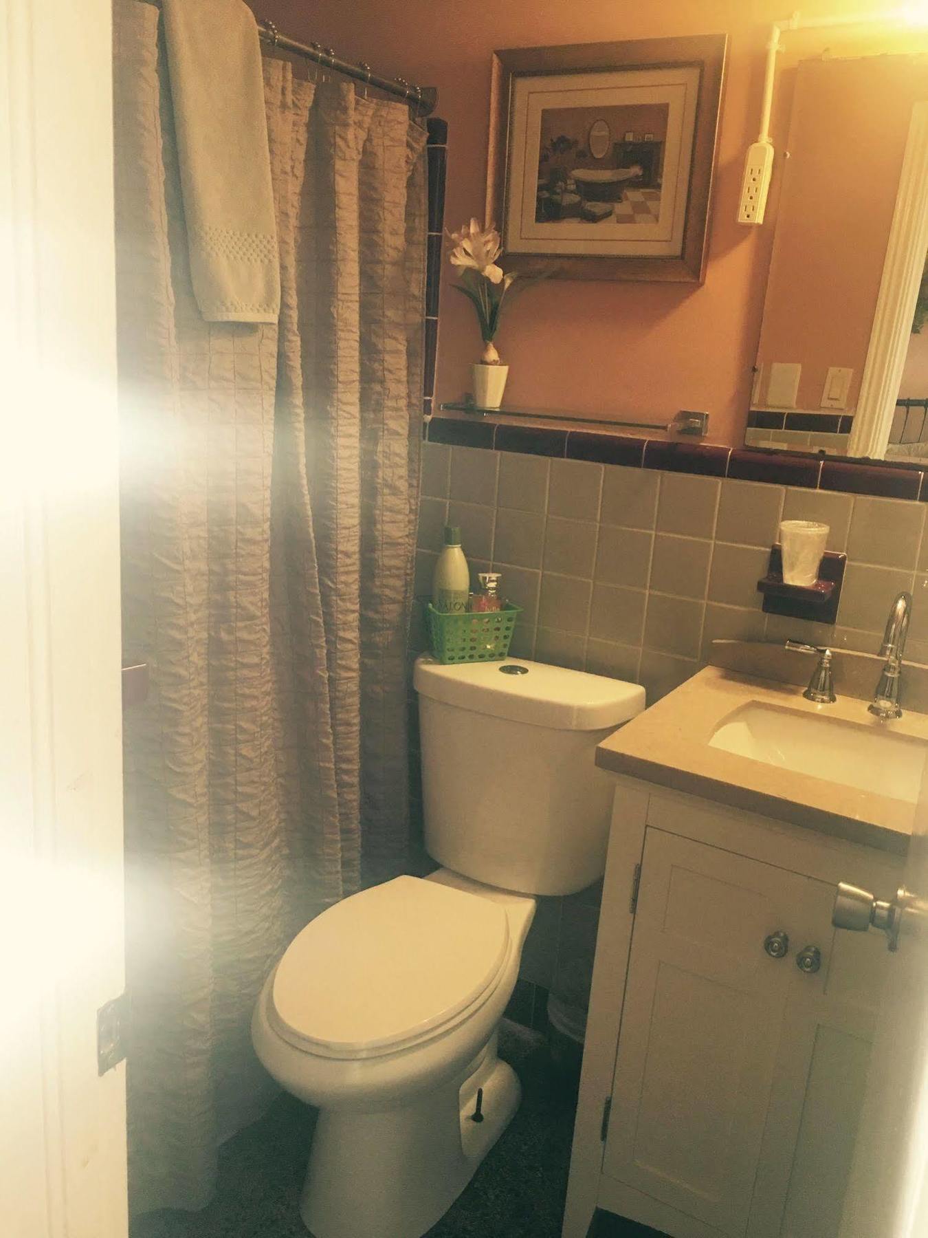 Shamrock Cove Inn Ocala