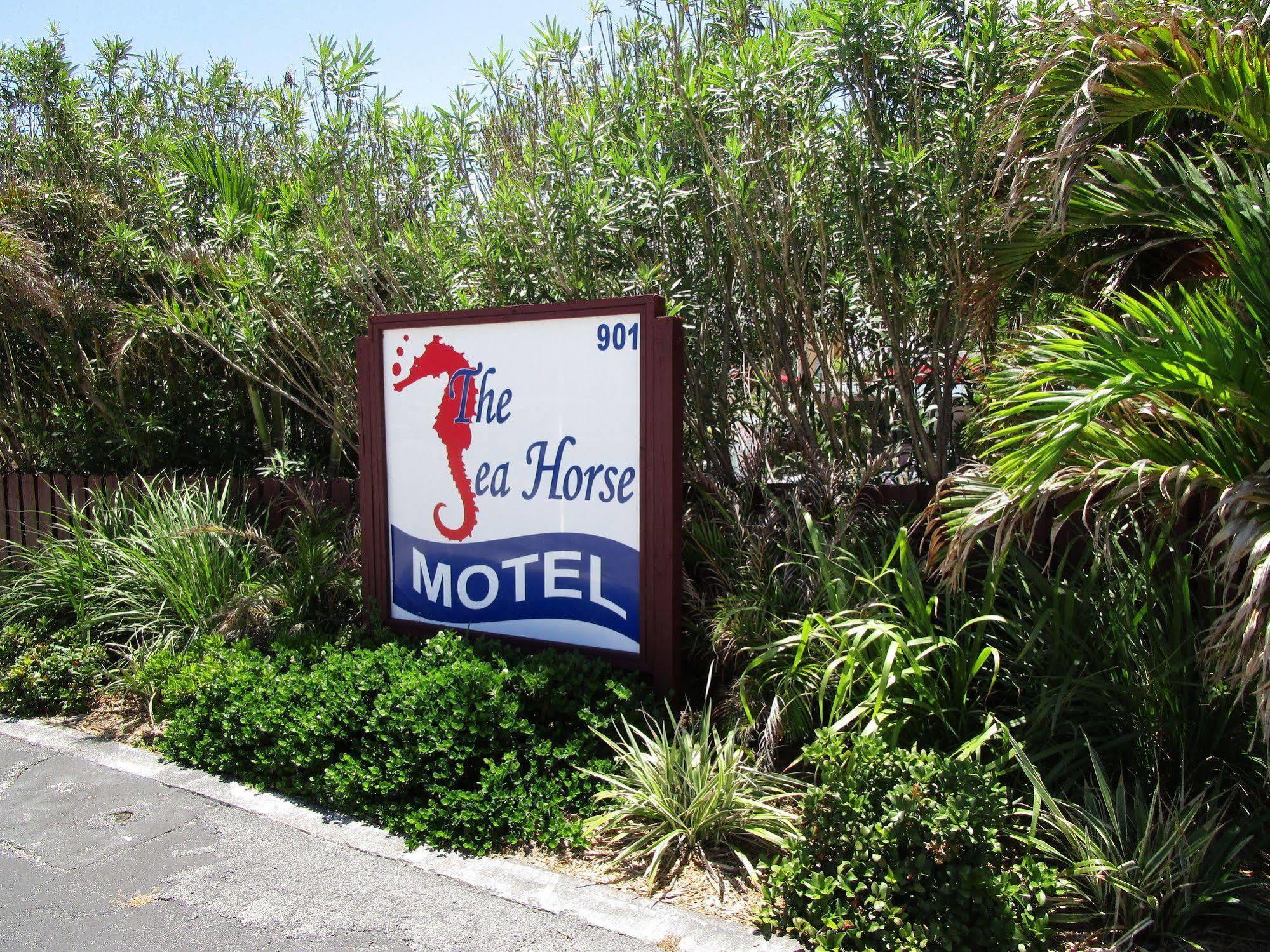 Motel Seahorse 3*