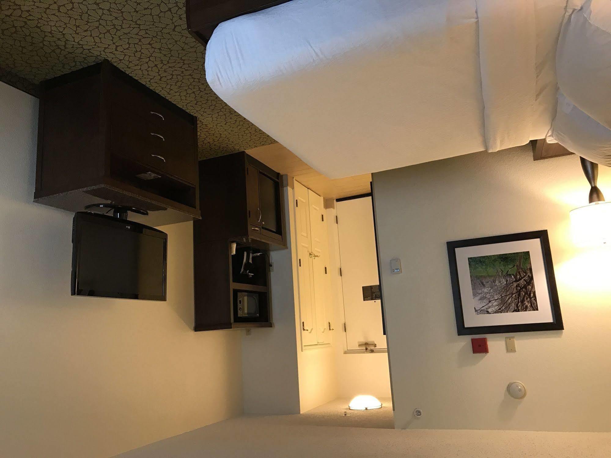 Hilton Garden Orlando East - Ucf Area Hotel Alafaya