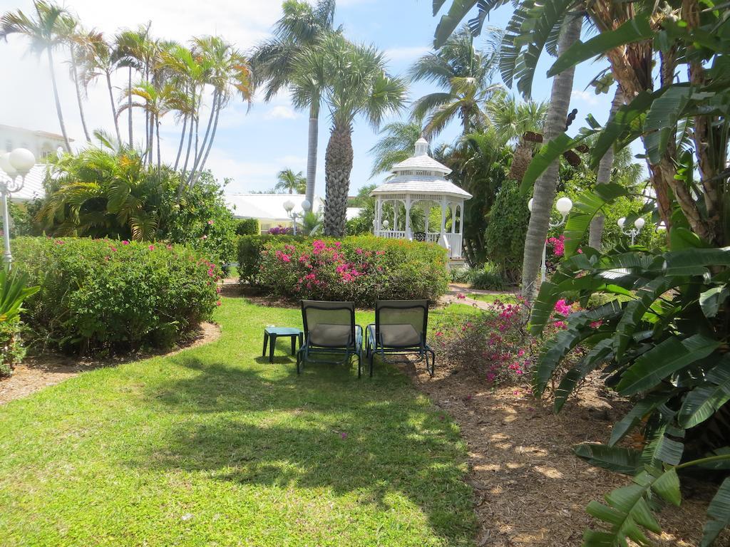 Lemon Tree Naples