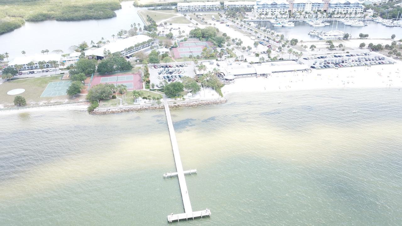 Tampa Bay, Step Away, Wifi, Free Parking,pools, Jacuzzi Aparthotel *