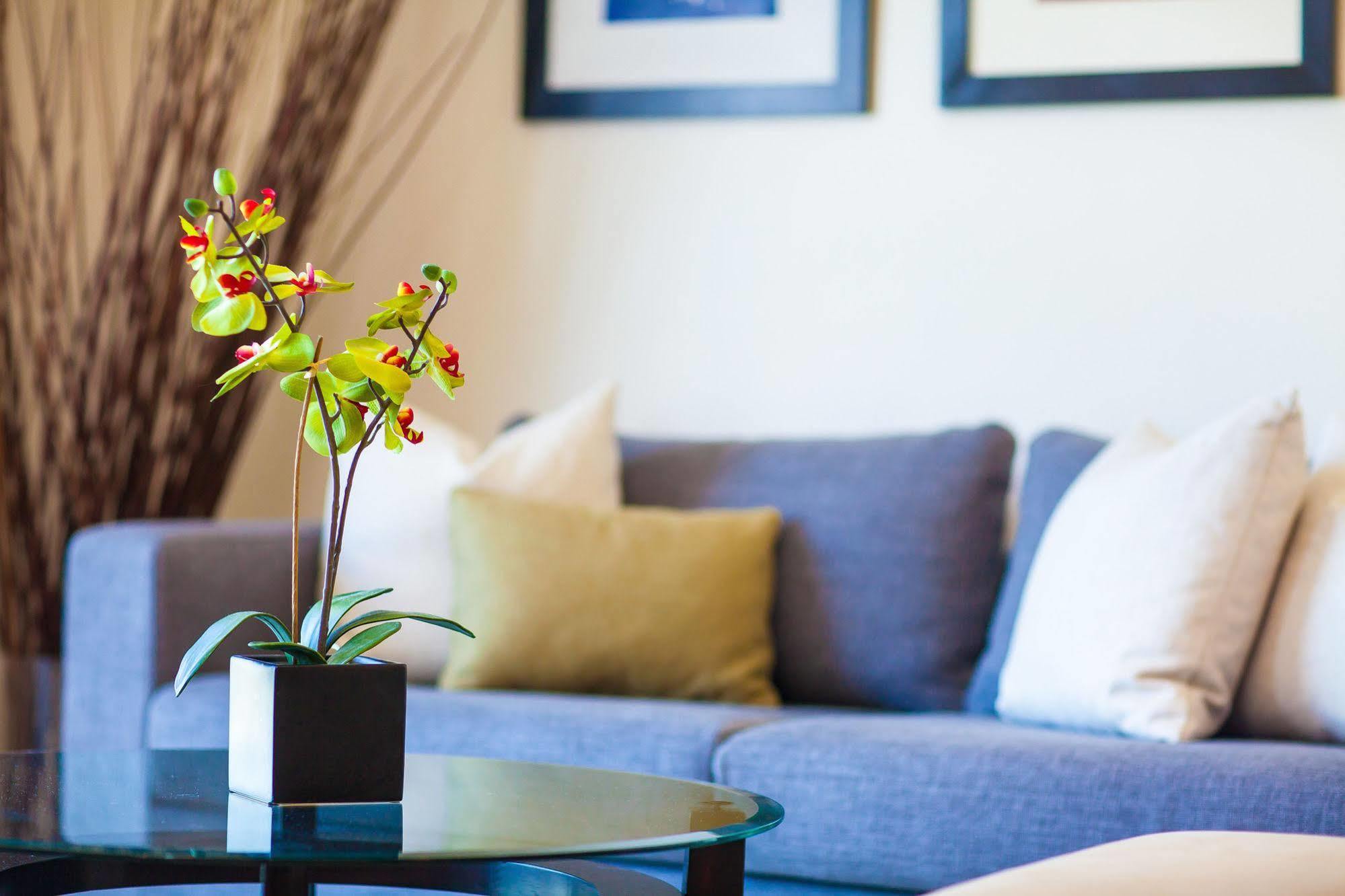 Apartment Habitat *