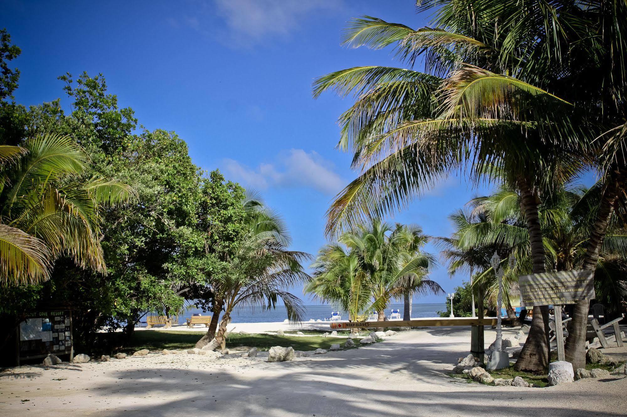 Coconut Cove & Marina