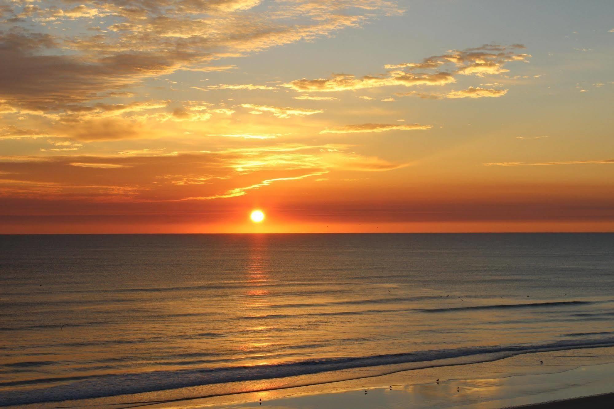 Hotel Sea Club Iv Daytona Beach Shores