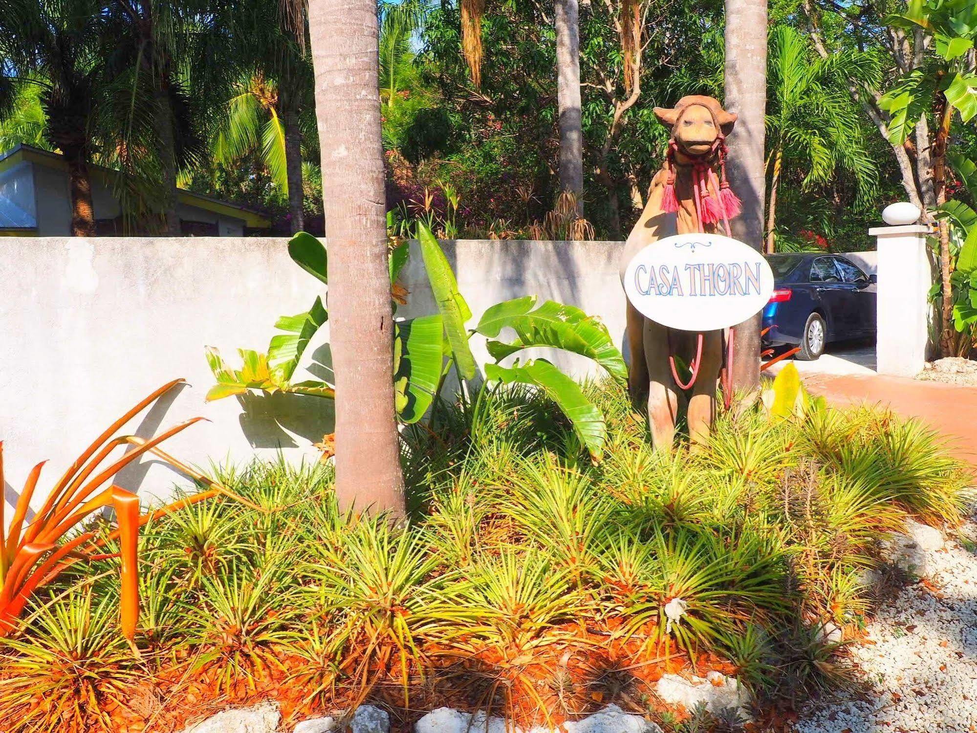 Bed & Breakfast Casa Thorn Tavernier