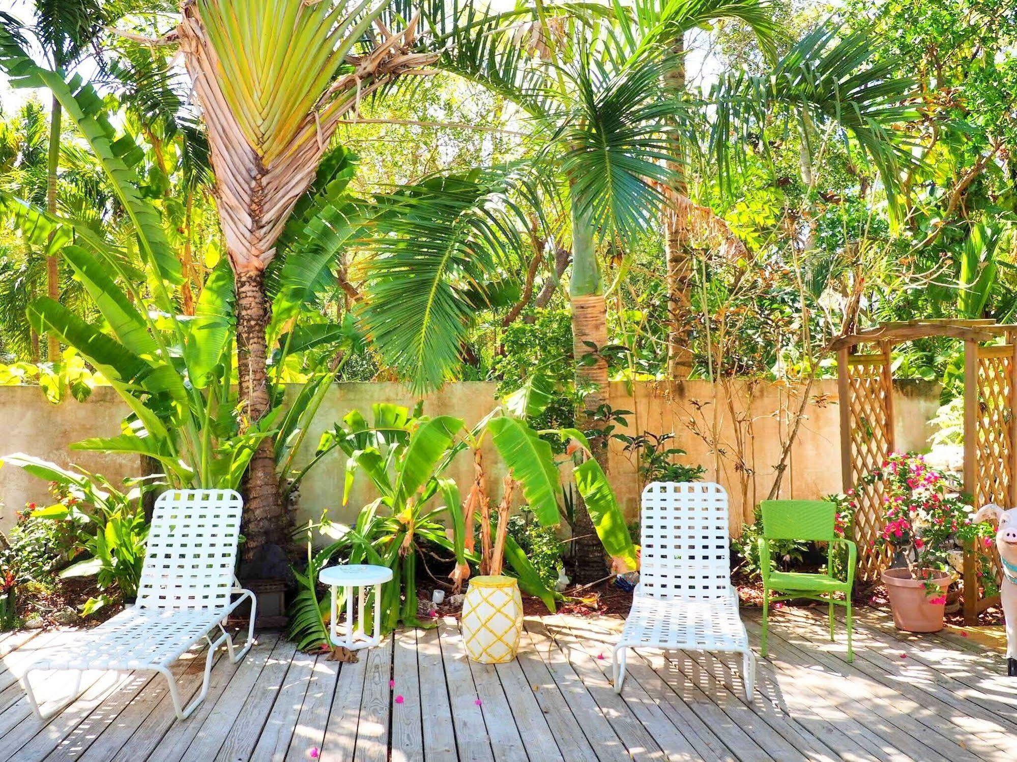 Bed & Breakfast Casa Thorn