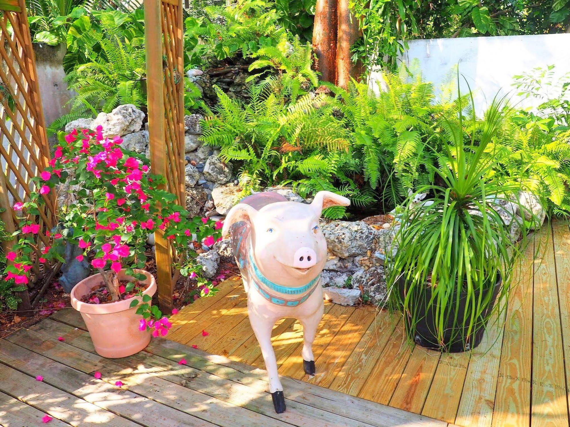 Bed & Breakfast Casa Thorn 2*