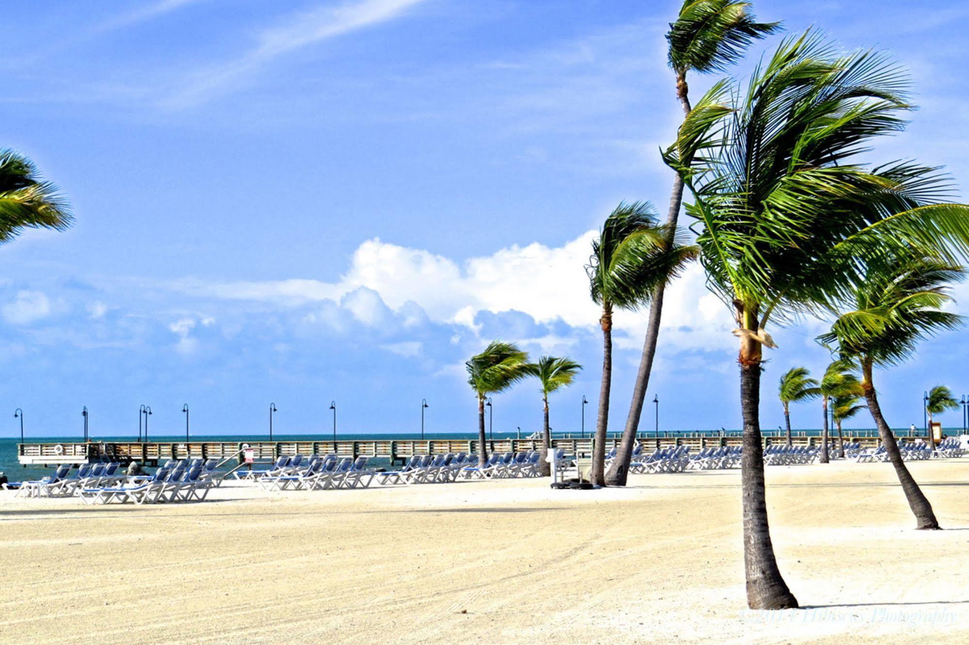 Islander Resort Islamorada