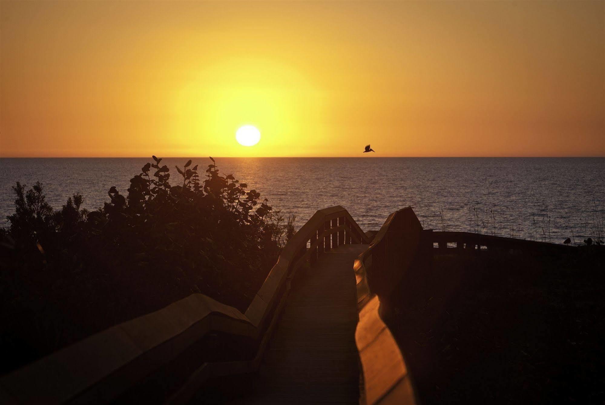 Hilton Grand Vacations Club Regency Marco Island
