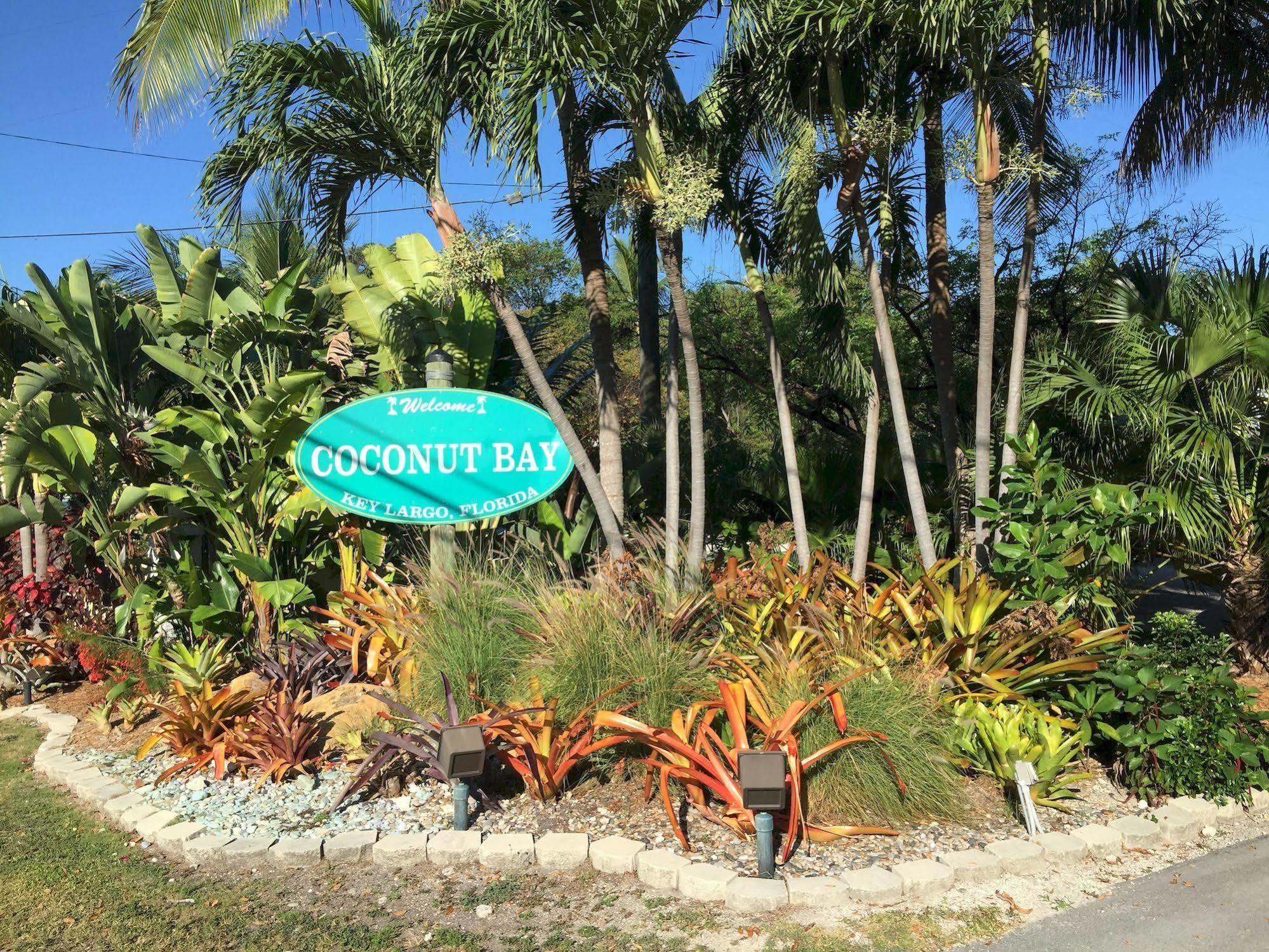 Aparthotel Coconut Bay - 3*