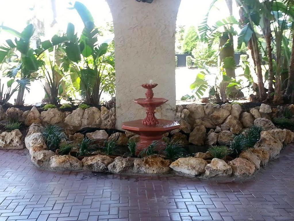 Hotel Vista Tarpon Palm Harbor