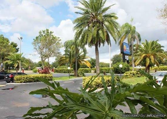 Hotel Quality & At Tropicana Field