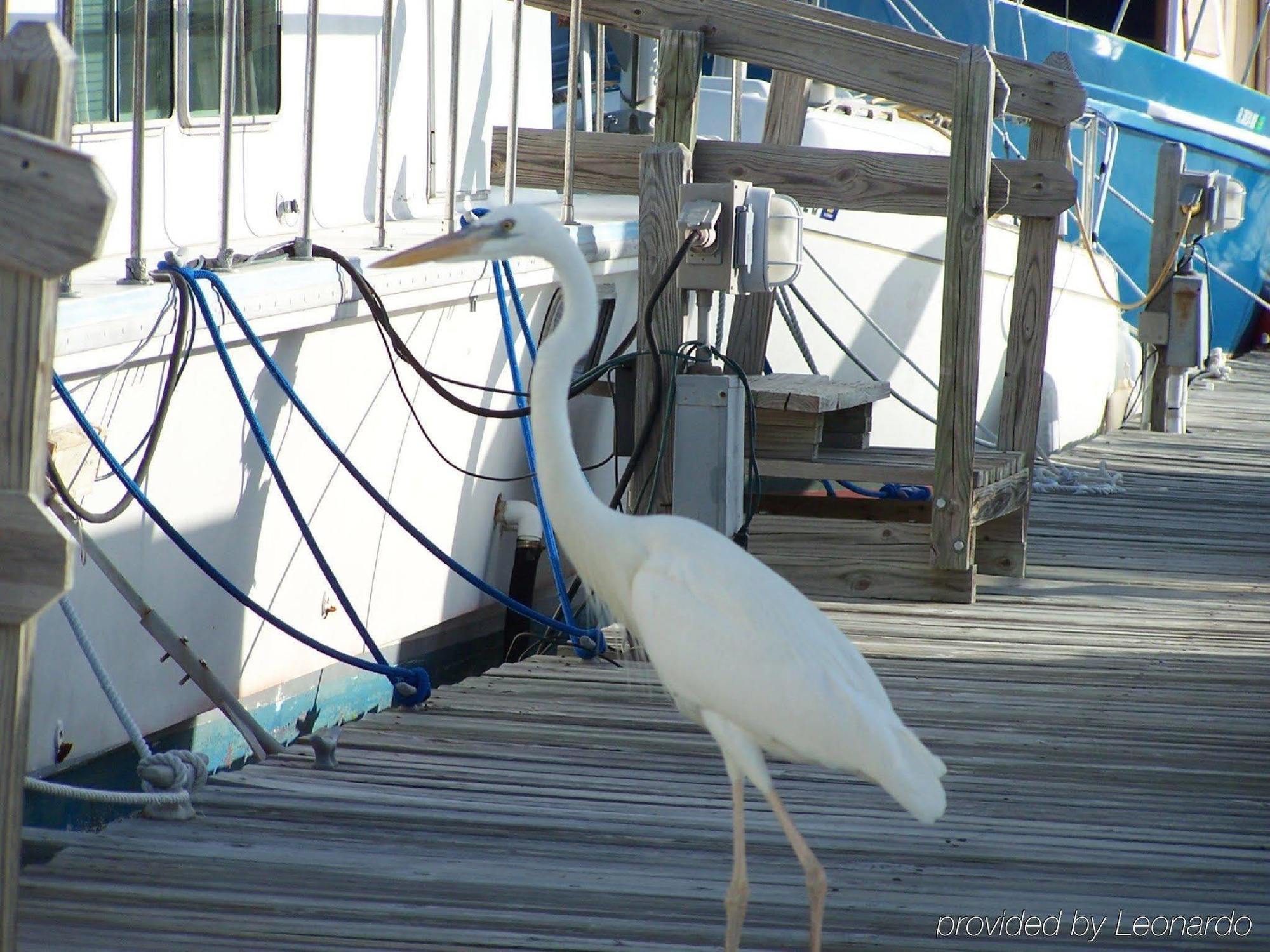 Floating Sea Cove And Marina Marathon