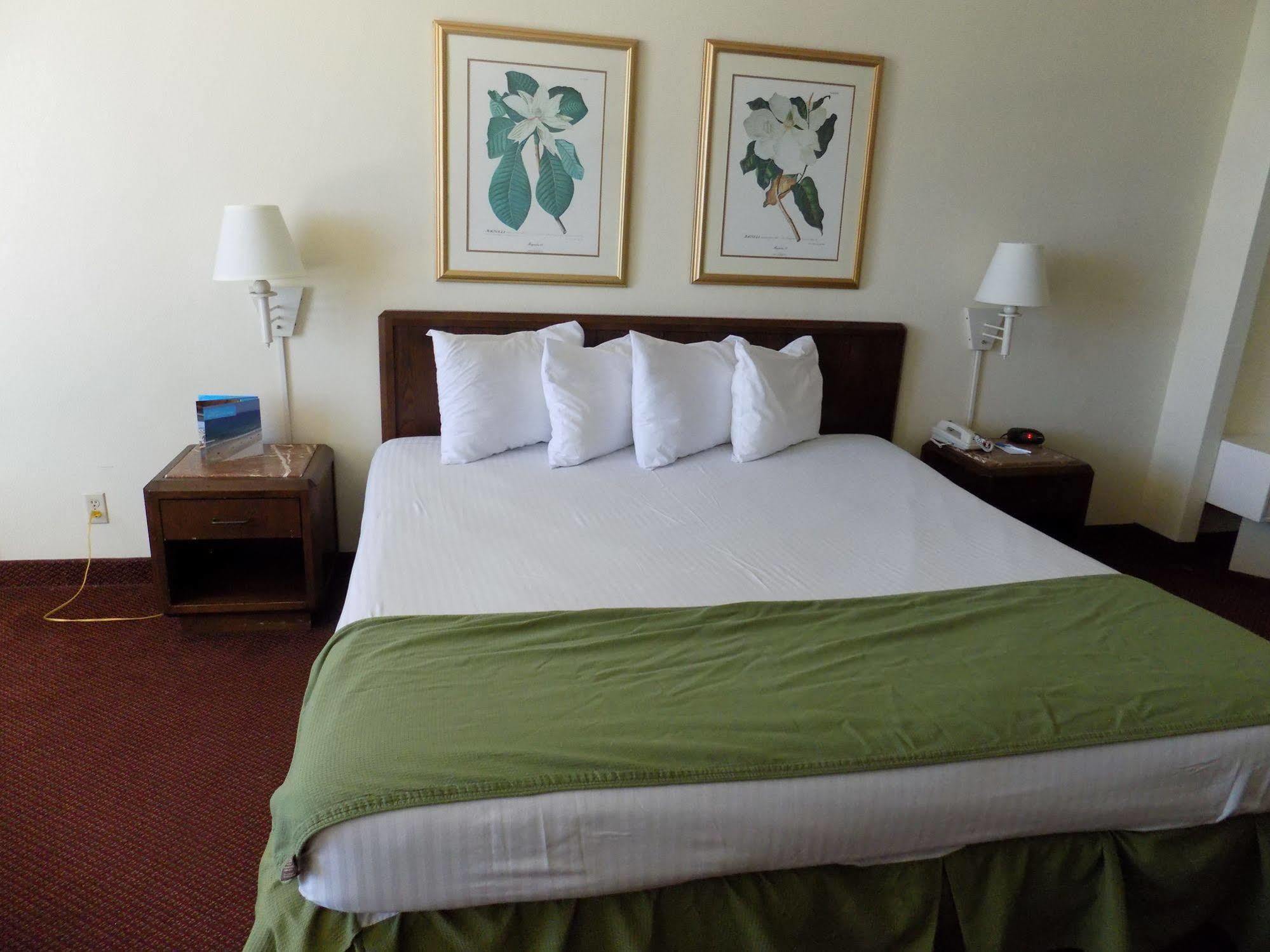 Oceanside Daytona Resort