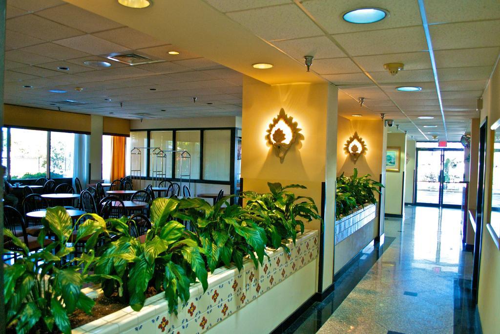 Eurotel Maitland