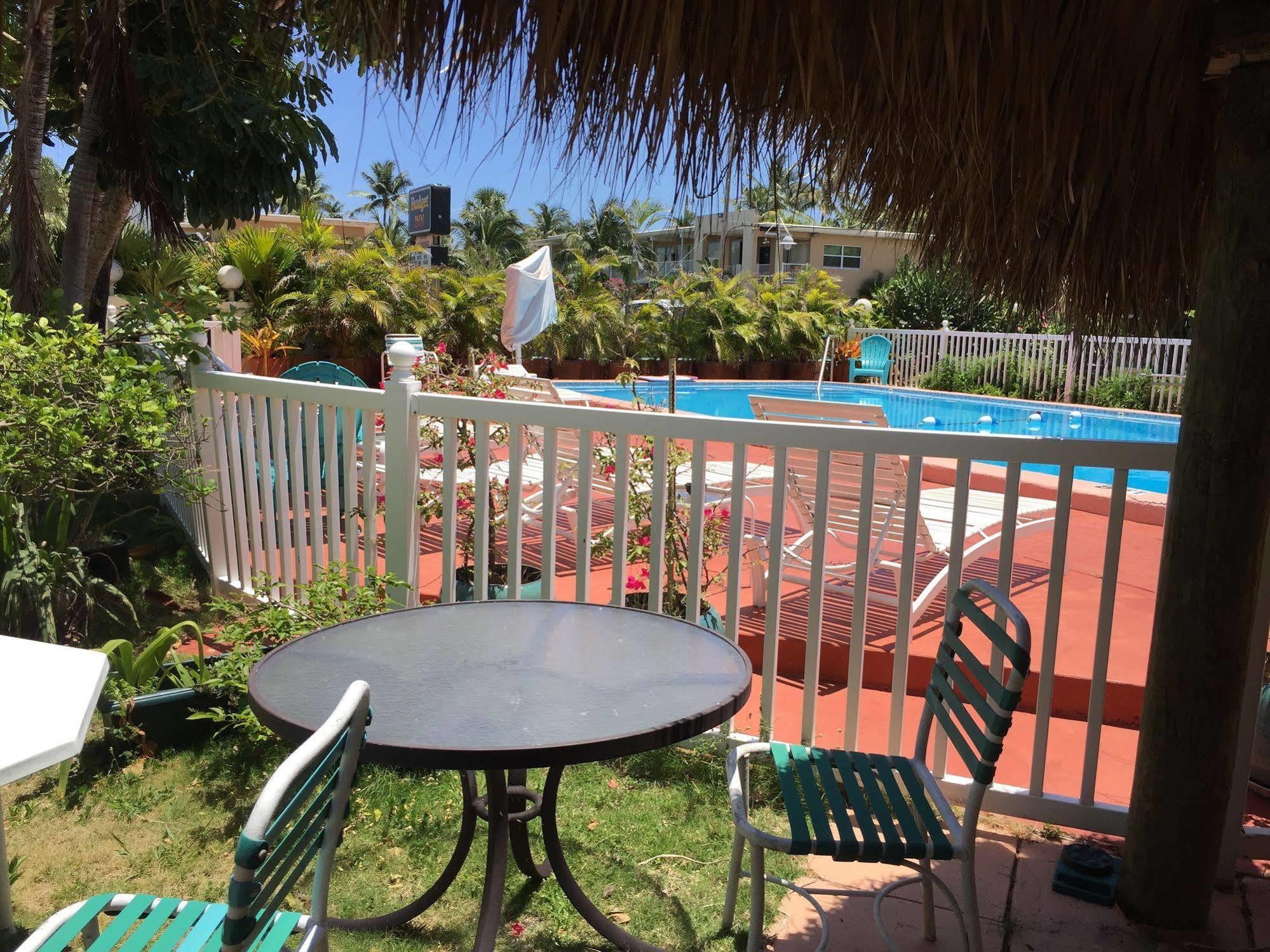 Sea Cove Motel 2*