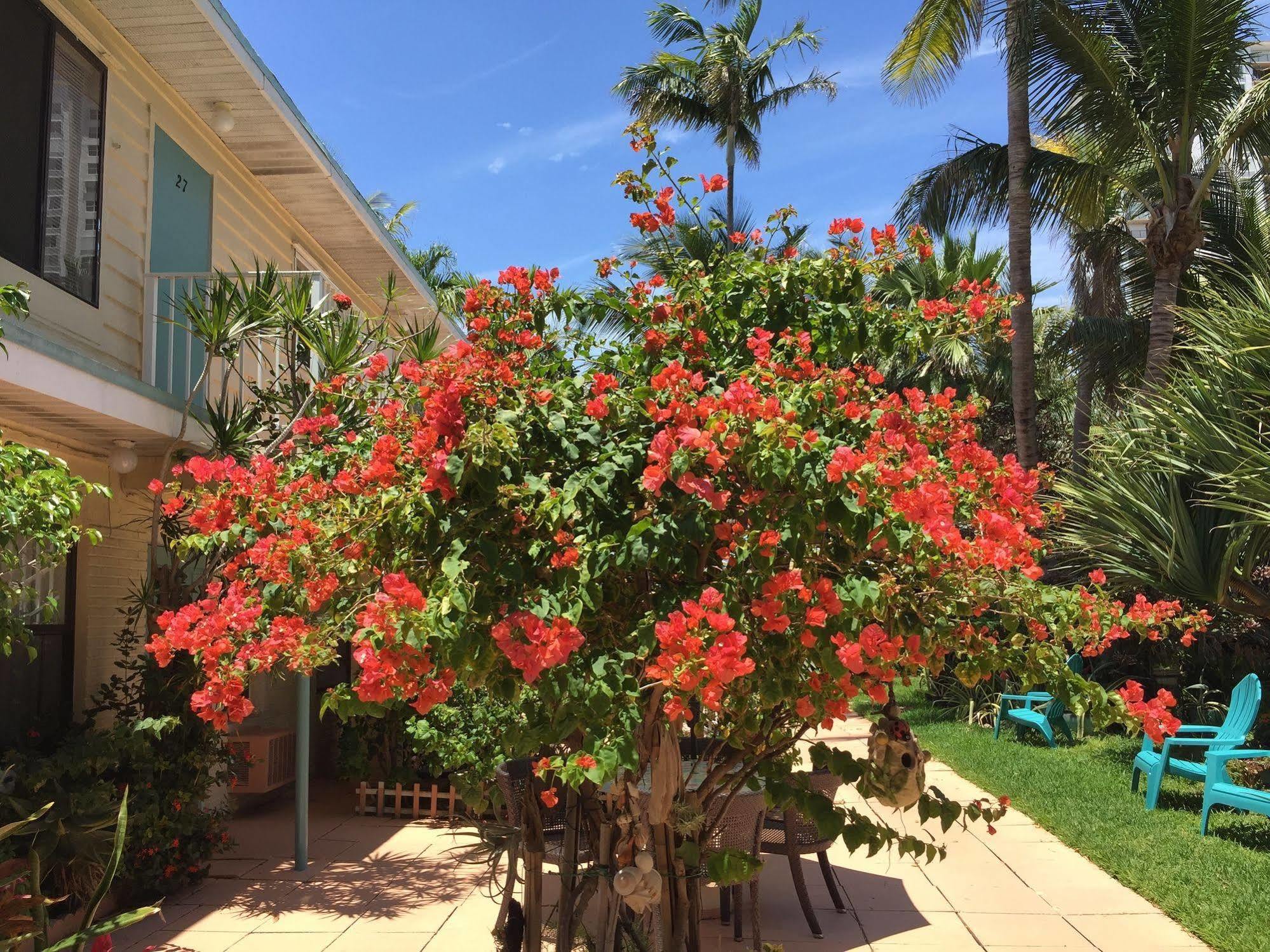 Sea Cove Motel