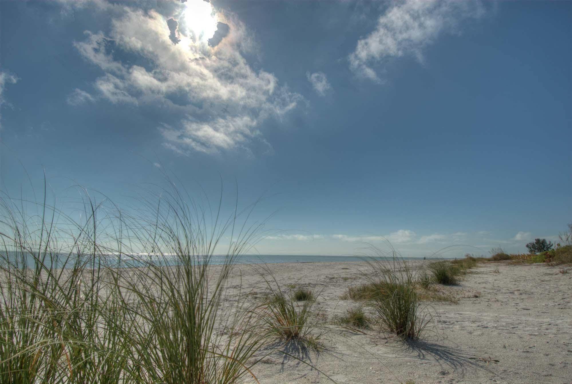 Seahorse - Adults Only Inn Sanibel
