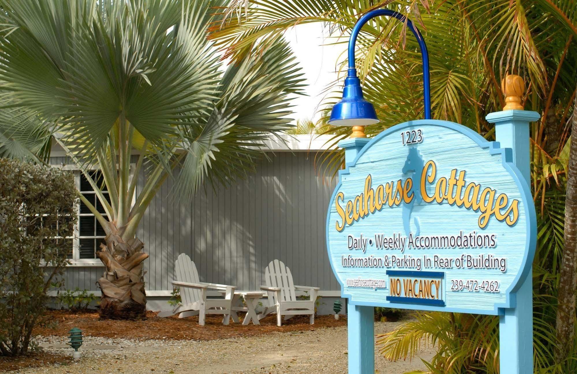 Seahorse - Adults Only 3*