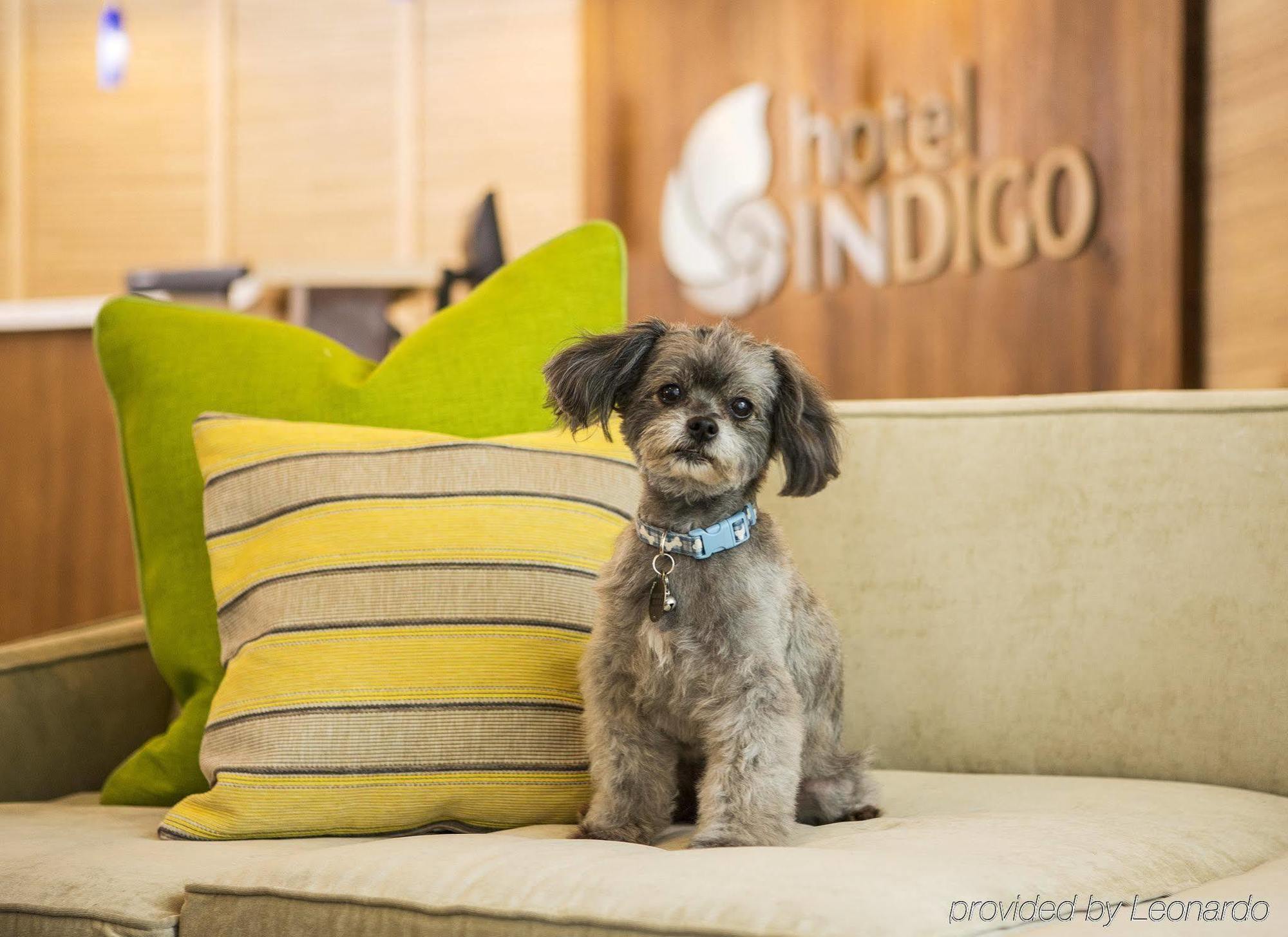Hotel Aloft Miami Dadeland 3*