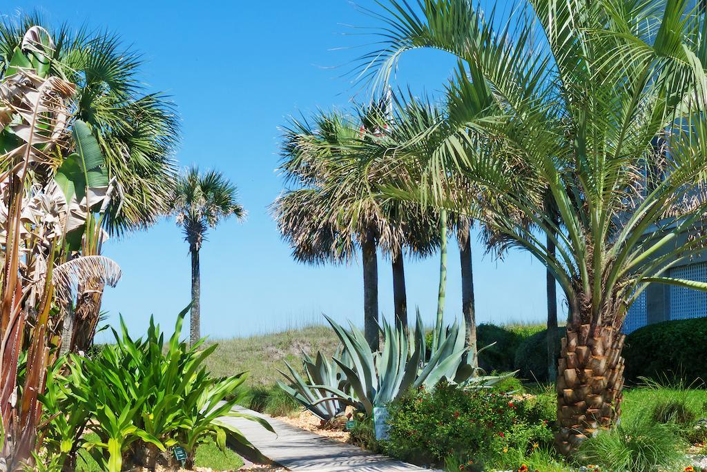 Hotel Elizabeth Pointe
