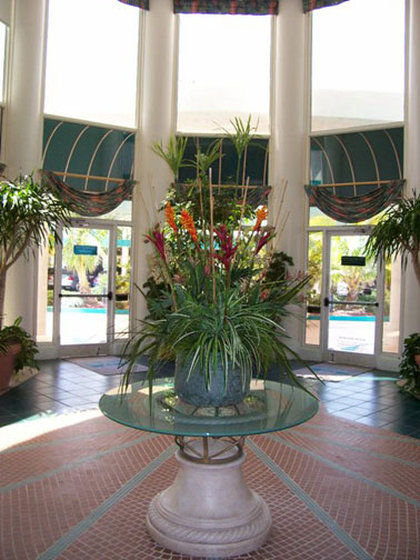 Resort Discovery