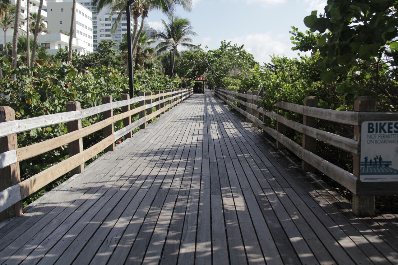 Modern In Miami 3*
