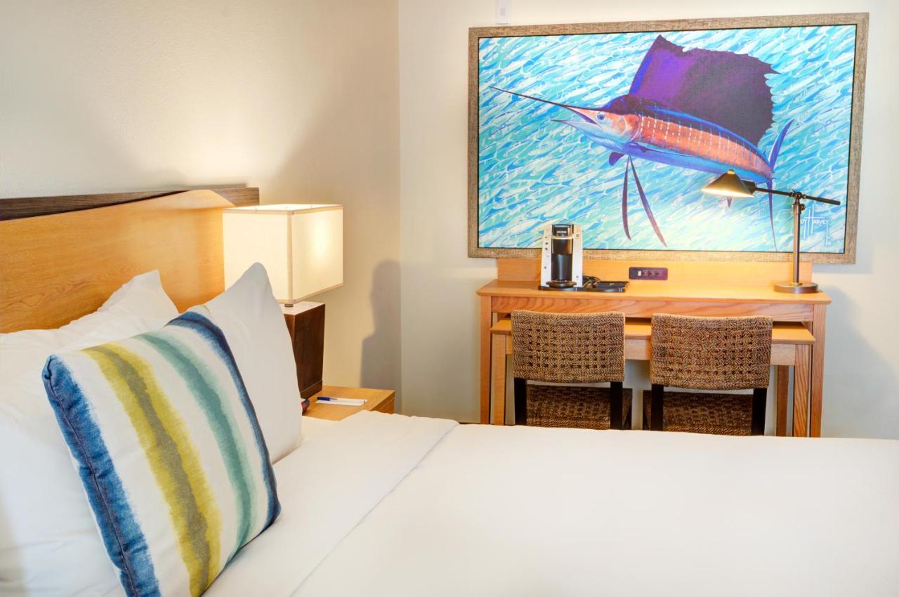Guy Harvey On Hotel St. Augustine