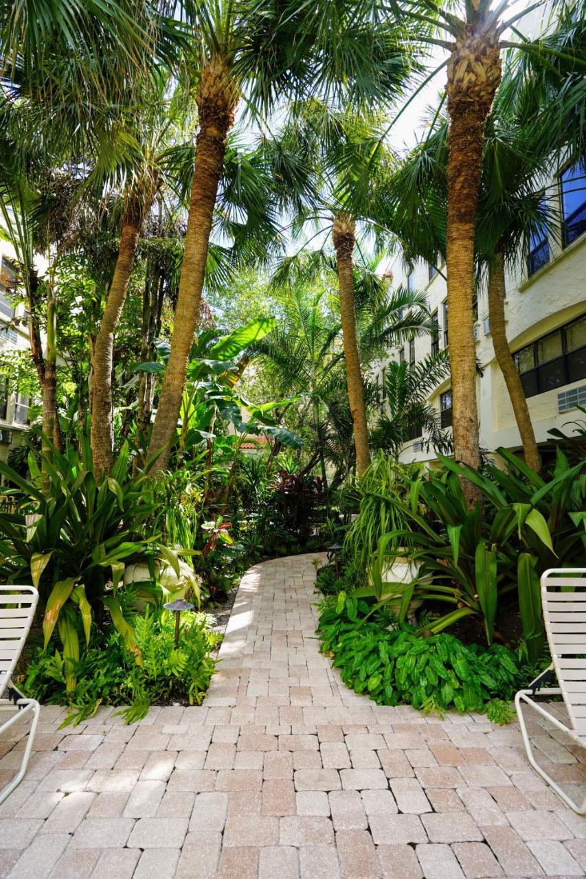 Aparthotel Renovated In The Heart Of Palm - Free Parking, Security Box 3*