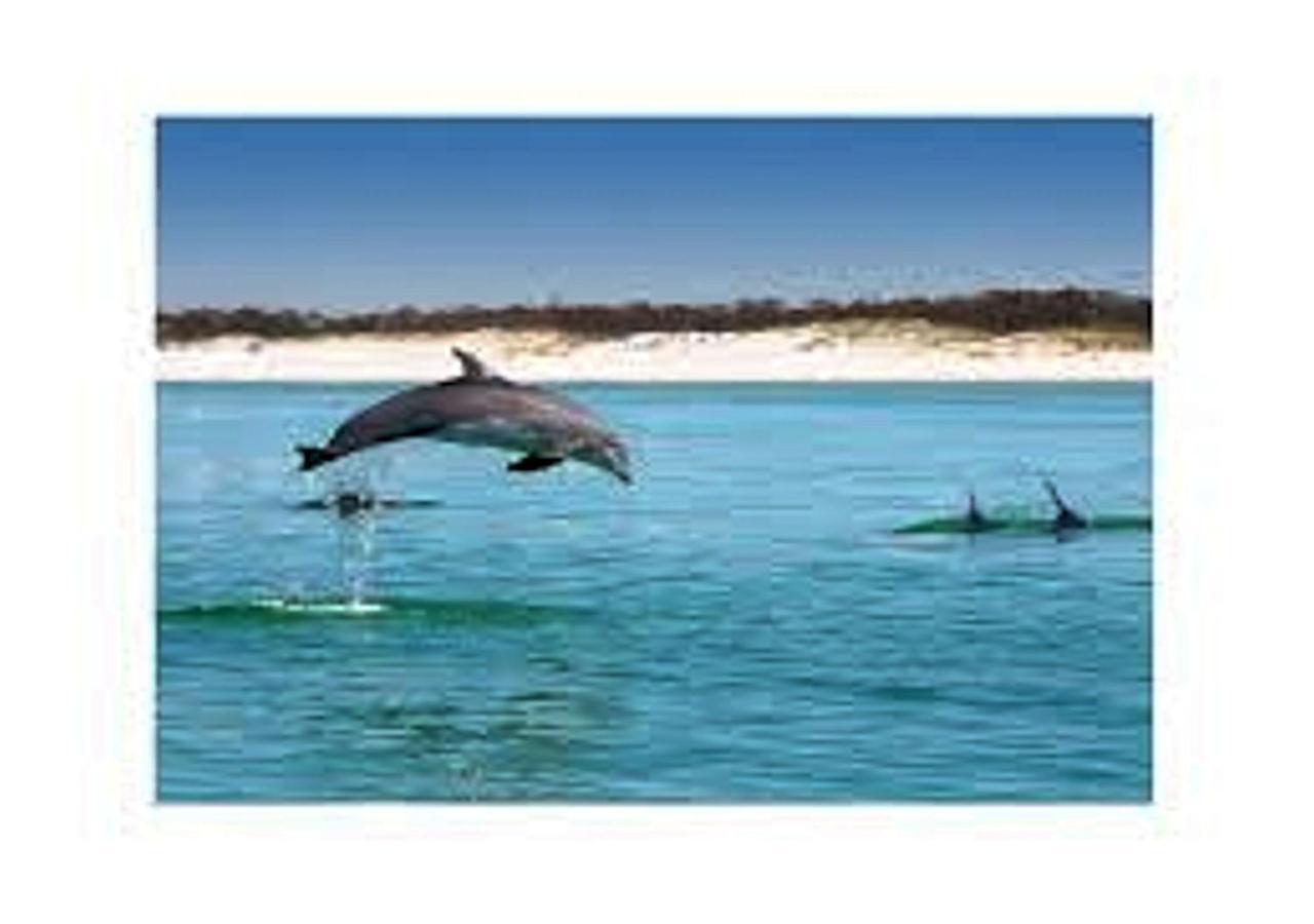 Southern Charm Apartment Pensacola