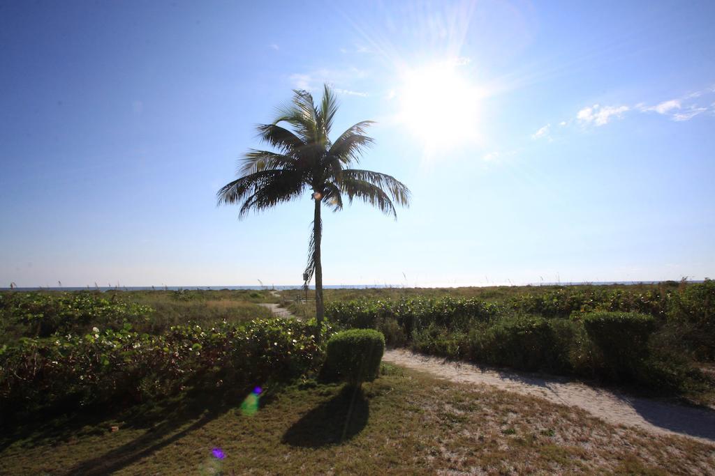 Tropical Winds Beachfront And Motel