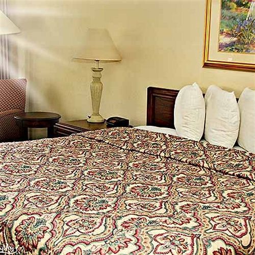 Rodeway Inn Orange Park