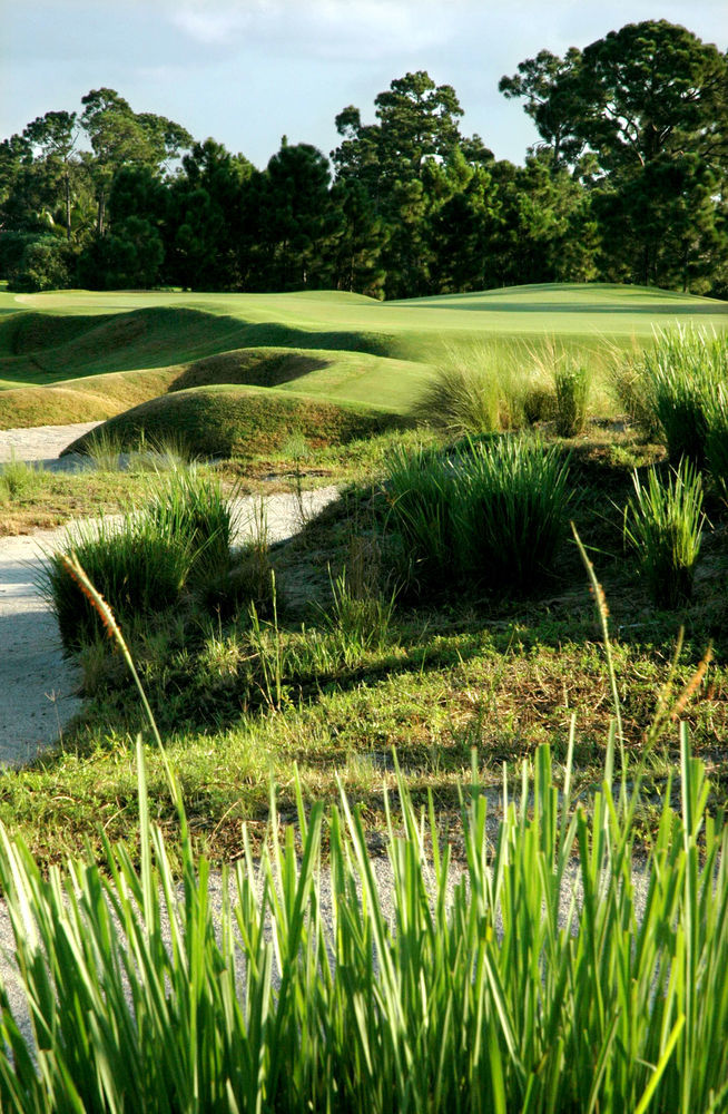 Villa Perfect Drive Vacation