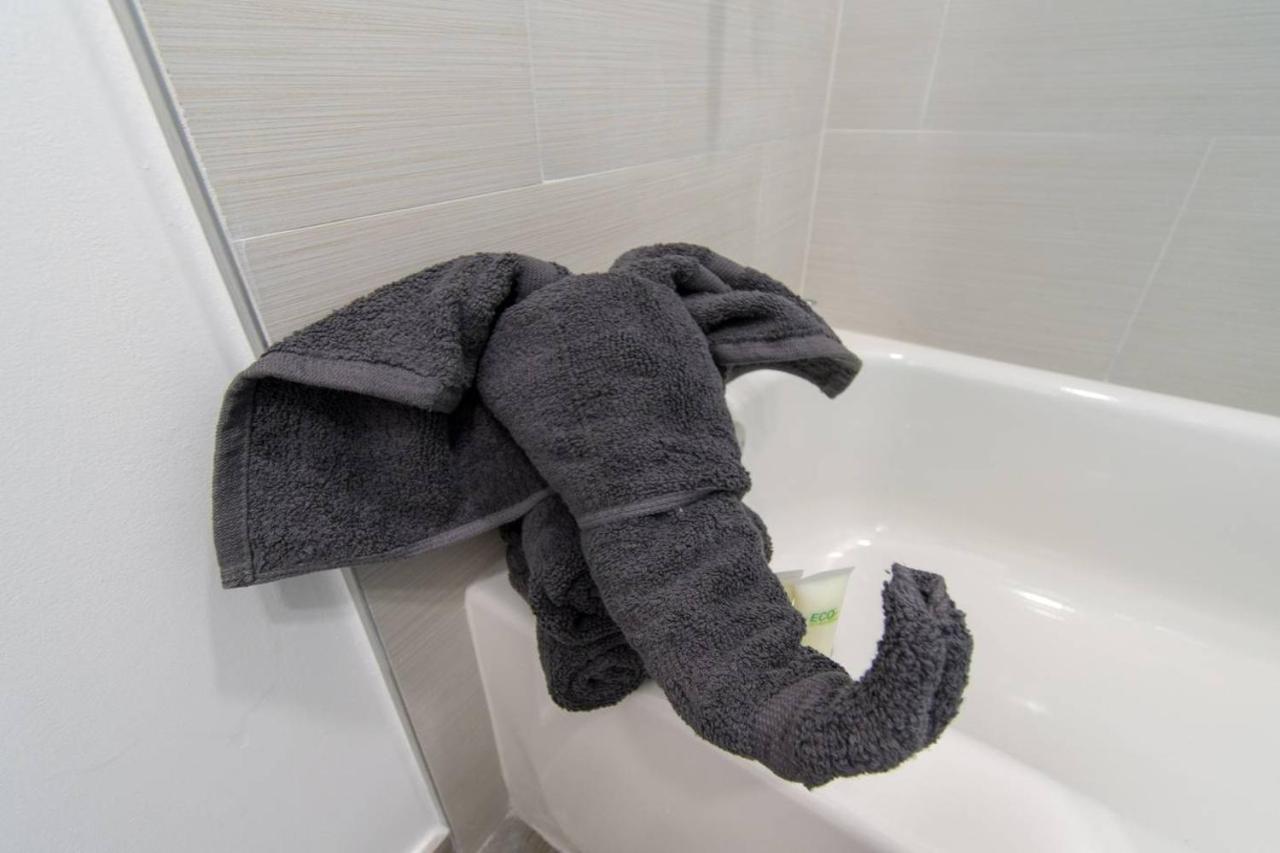 Newly Renovated 1 Bedroom Designer Unit # 3 *