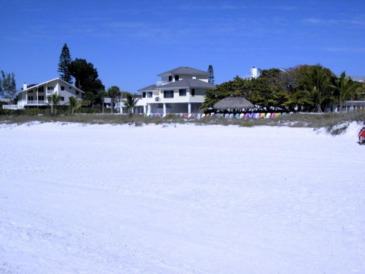 Anna Maria Island Palms 7a