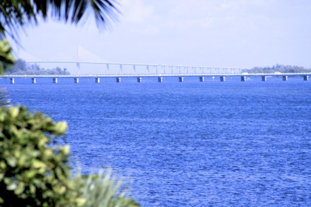 Anna Maria Island Palms 6b *