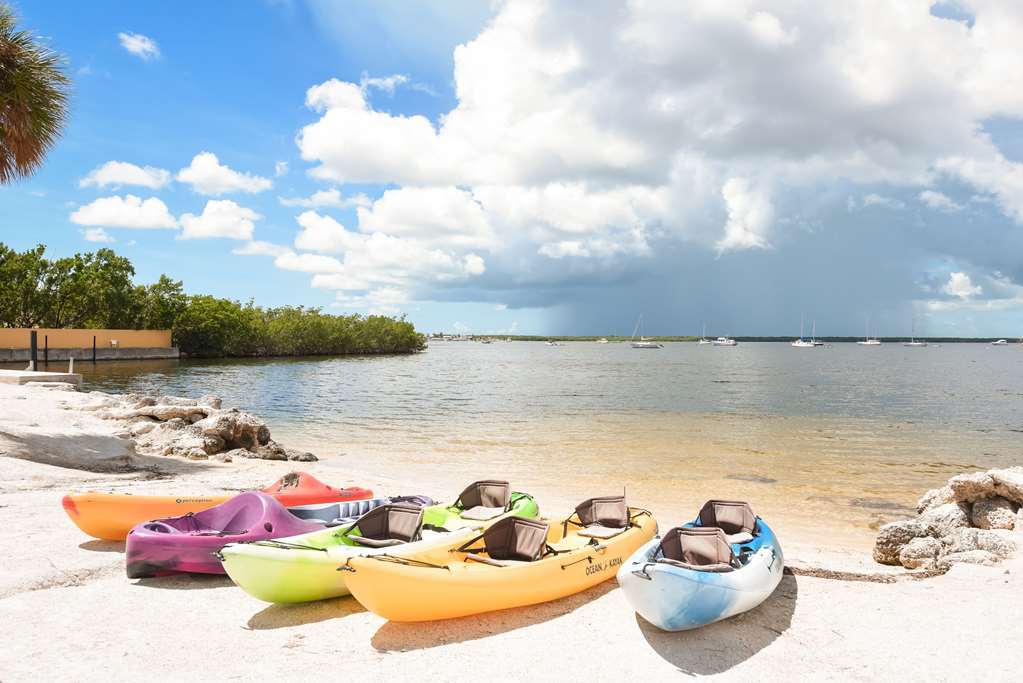Hotel Hampton 3*
