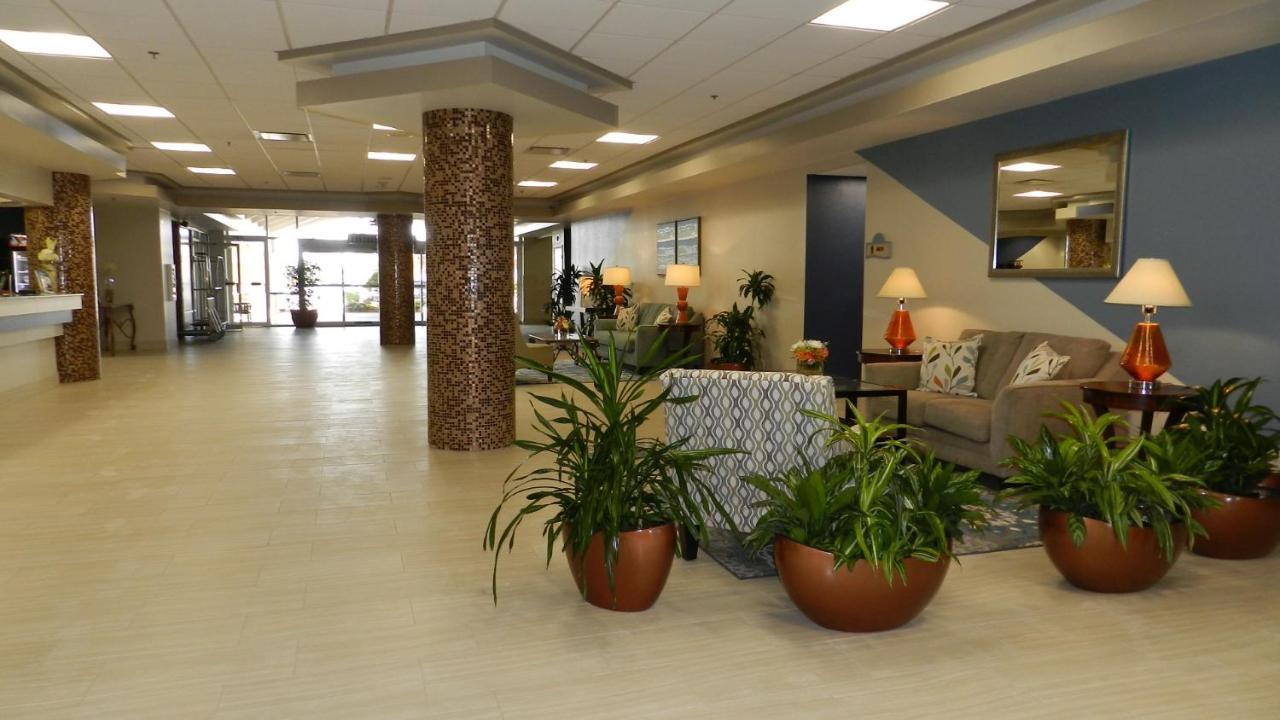 Oceanview Apartment