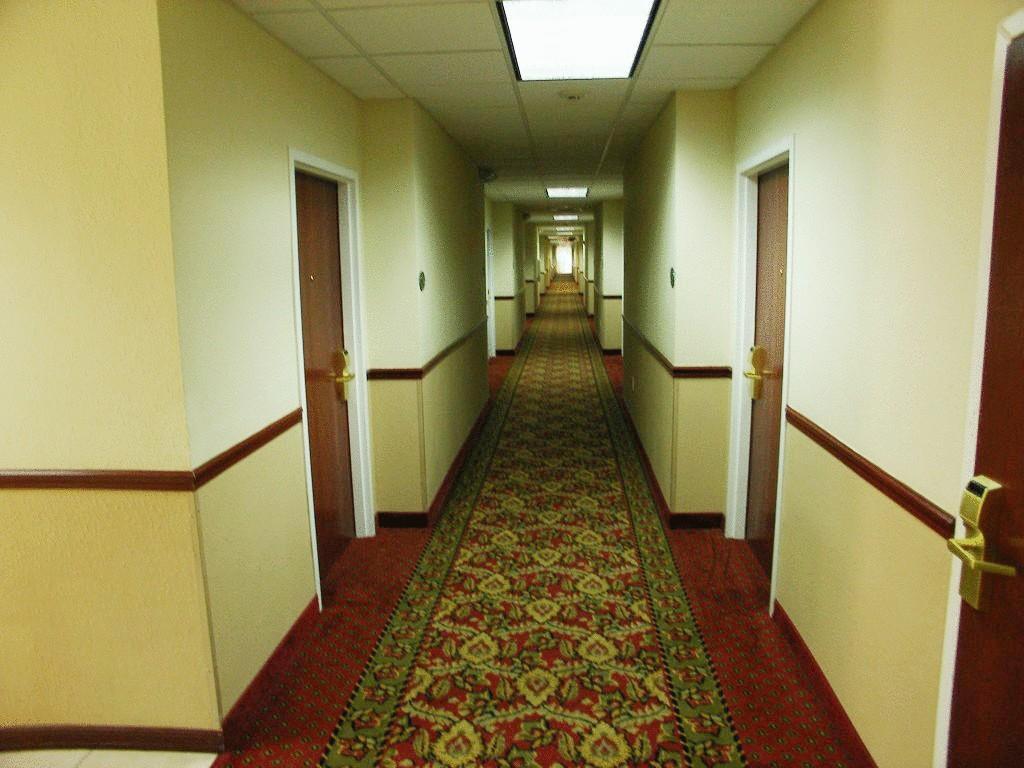 Quality Zephyrhills-dade Inn