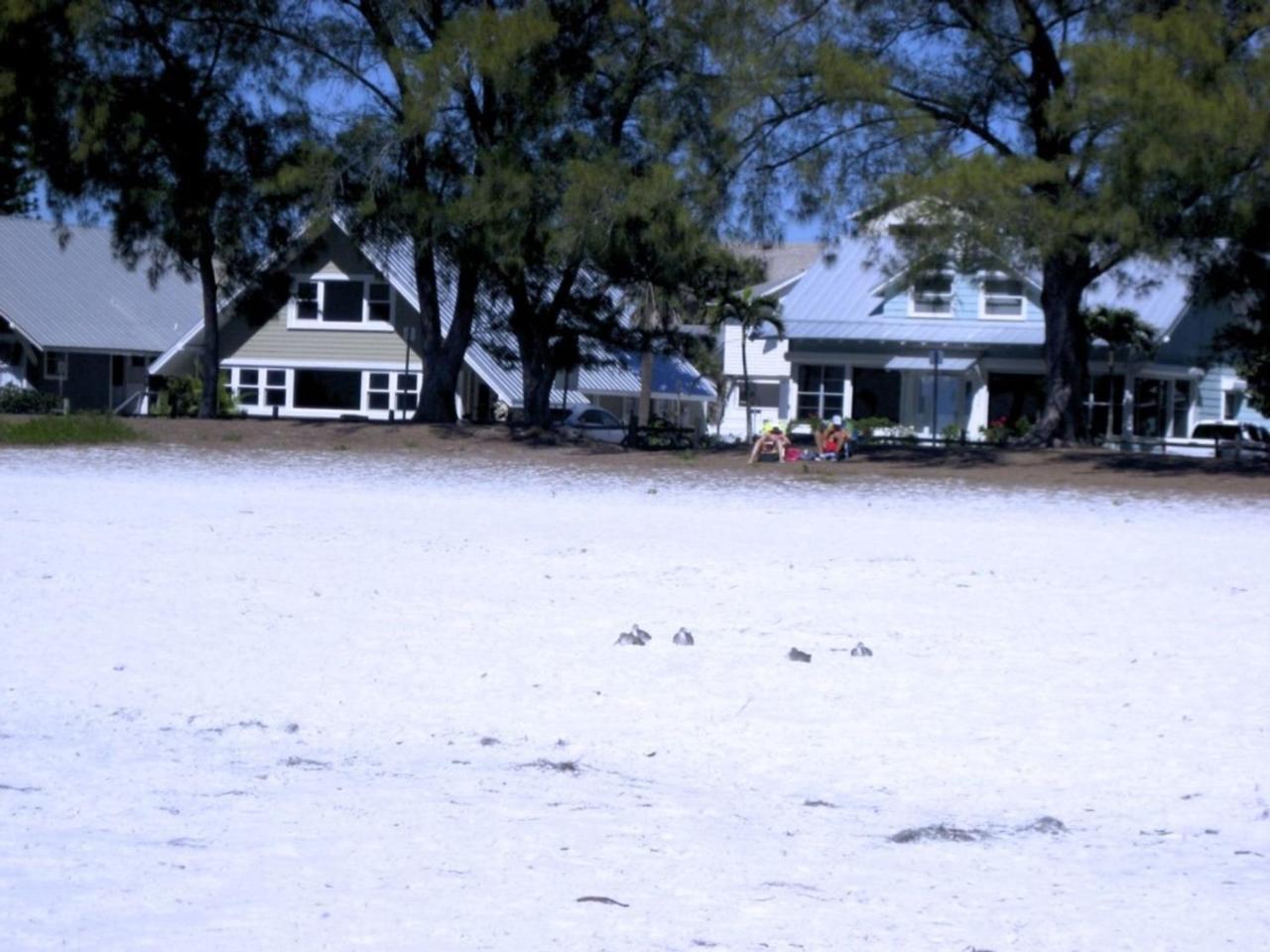 Anna Maria Island 4102 #5 Holiday home *
