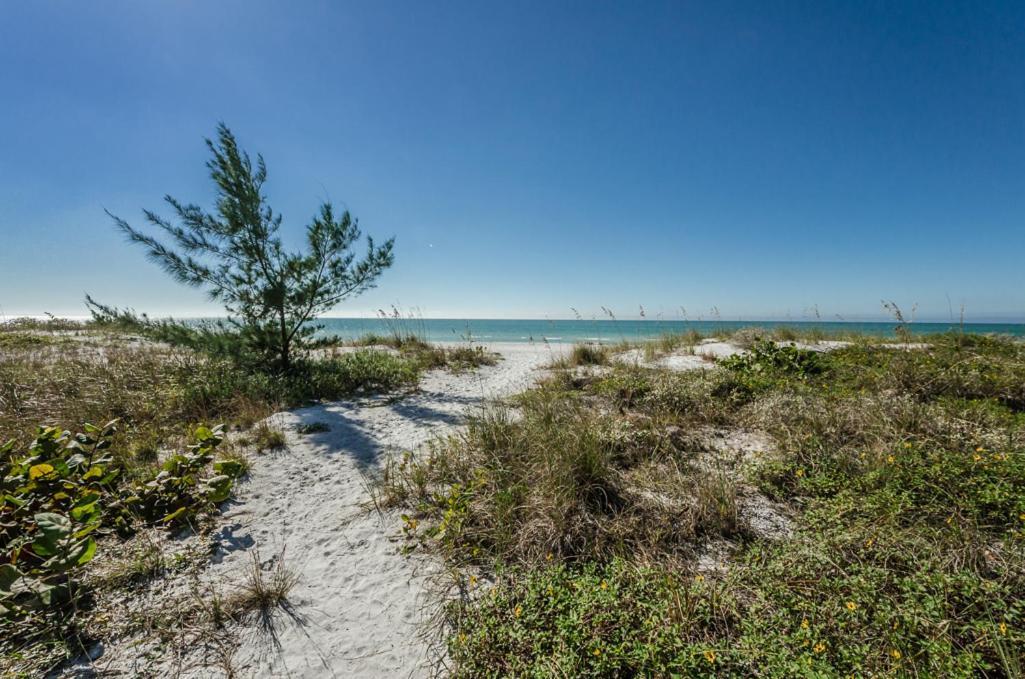 The New Collection Beachfront Resort Clearwater Beach