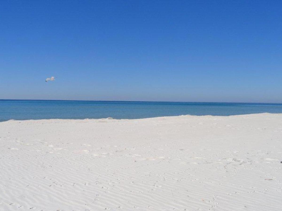 Tidewater 1516 *