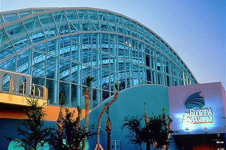 Country & By Radisson, Tampa-brandon, Fl 3* Tampa