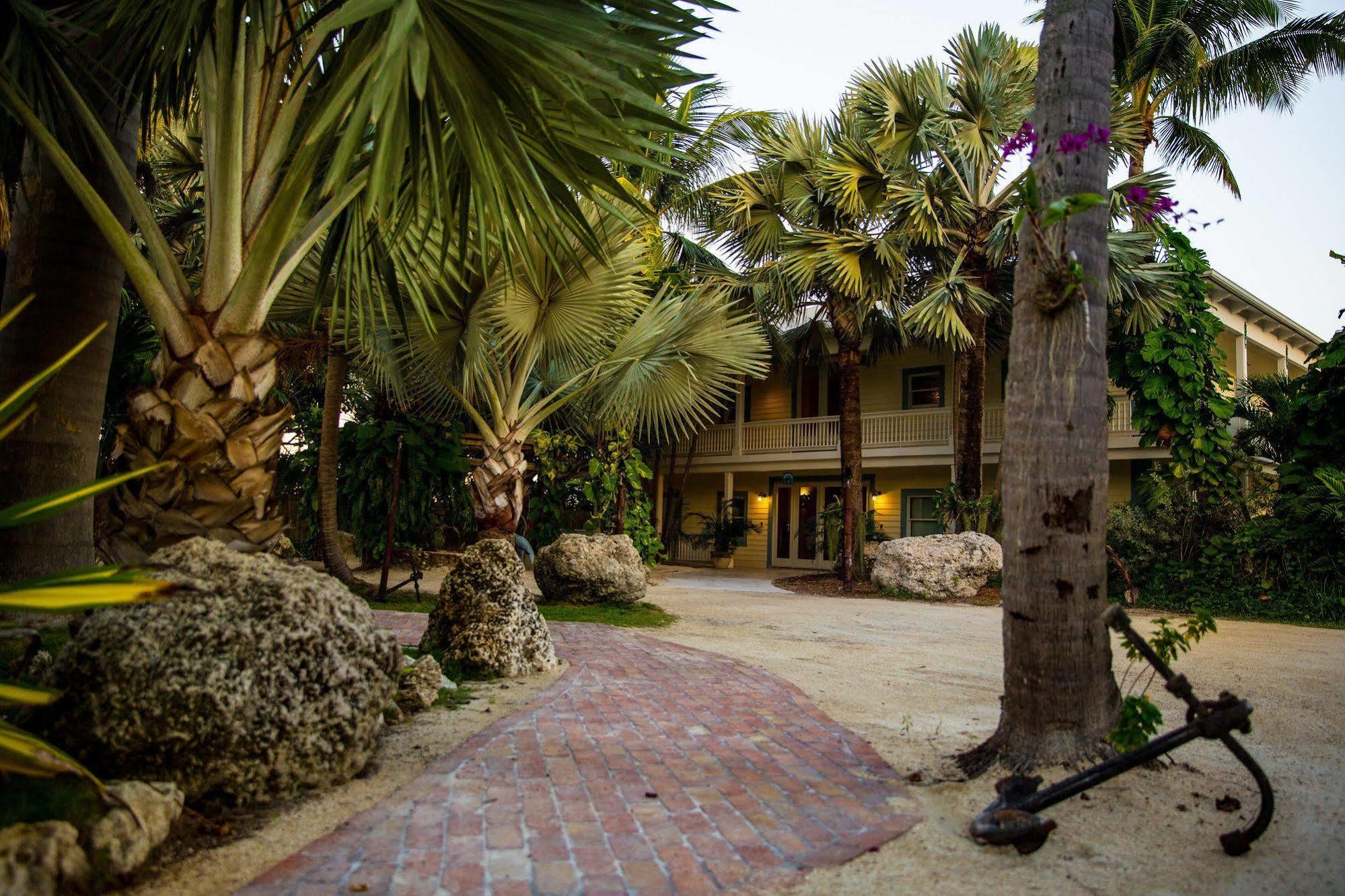 The Caribbean Hotel 3*