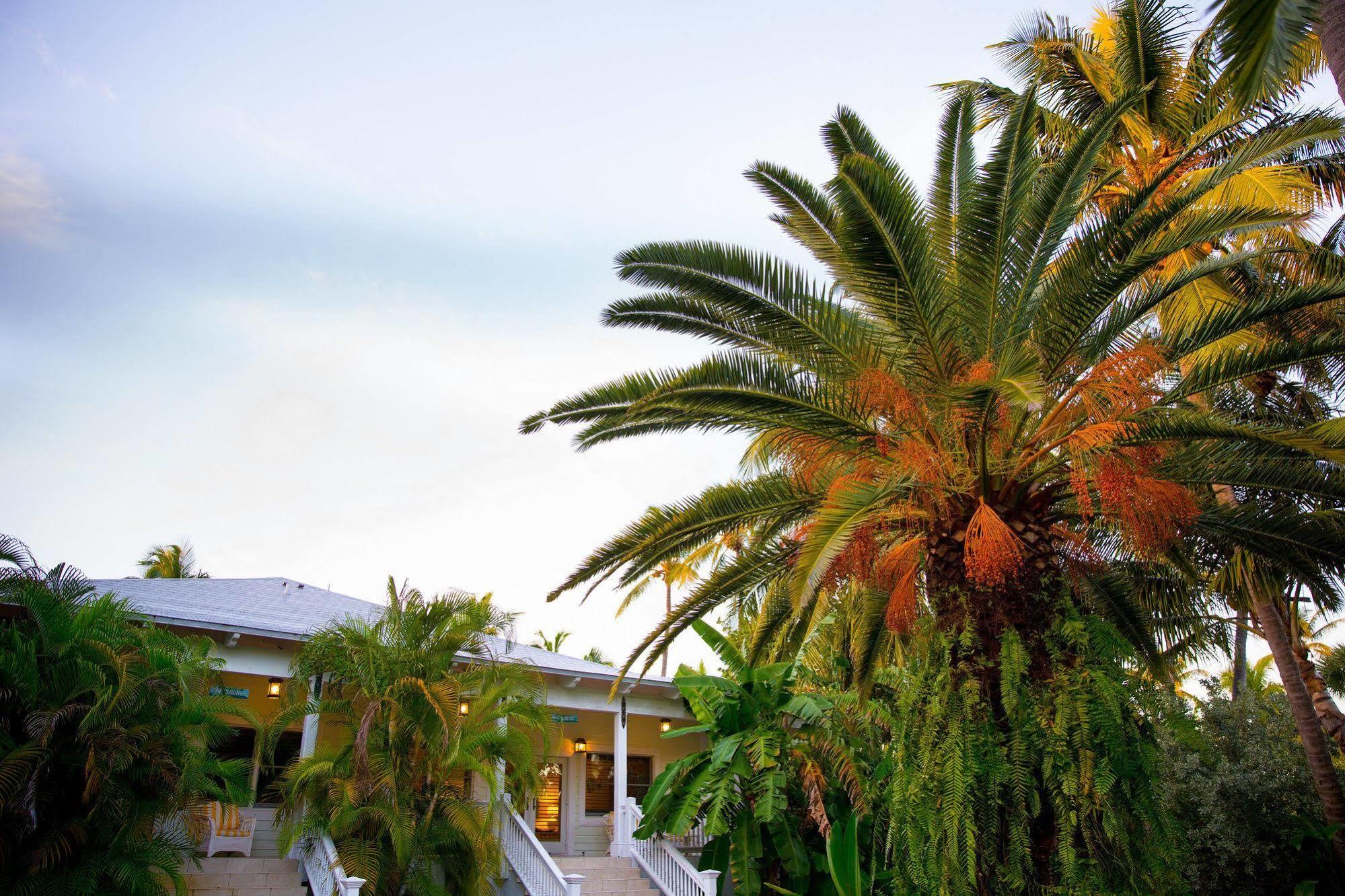 The Caribbean Hotel 3*